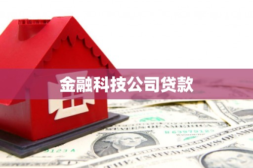 友谊金融科技公司贷款