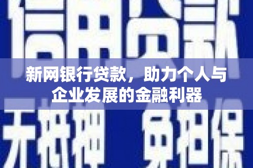 友谊新网银行贷款，助力个人与企业发展的金融利器