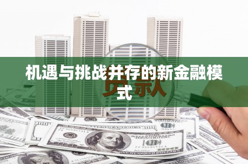 友谊机遇与挑战并存的新金融模式
