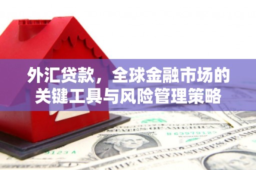友谊外汇贷款，全球金融市场的关键工具与风险管理策略