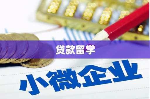 友谊贷款留学