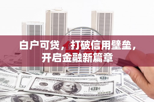 友谊白户可贷，打破信用壁垒，开启金融新篇章