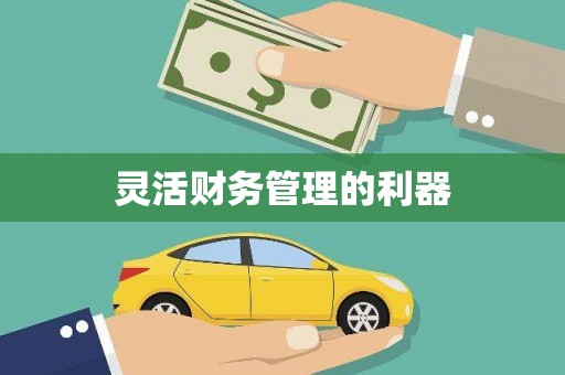 友谊灵活财务管理的利器