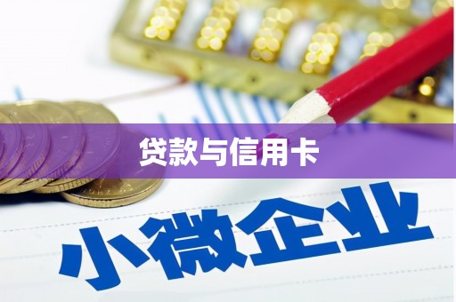 友谊贷款与信用卡