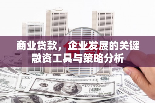 友谊商业贷款，企业发展的关键融资工具与策略分析