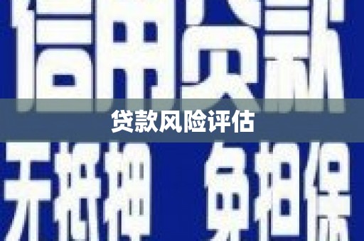 友谊贷款风险评估