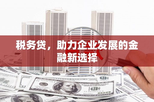 友谊税务贷，助力企业发展的金融新选择