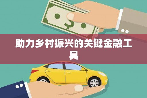 友谊助力乡村振兴的关键金融工具