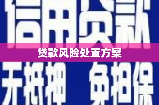 友谊贷款风险处置方案