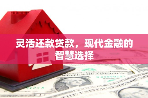 友谊灵活还款贷款，现代金融的智慧选择