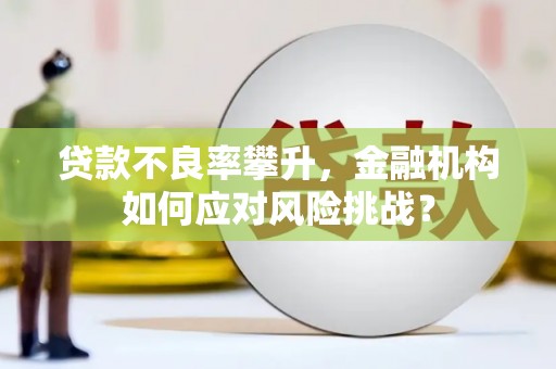友谊贷款不良率攀升，金融机构如何应对风险挑战？