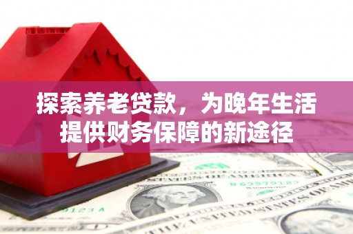 友谊探索养老贷款，为晚年生活提供财务保障的新途径