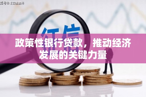 友谊政策性银行贷款，推动经济发展的关键力量