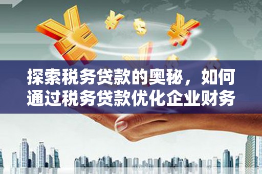 友谊探索税务贷款的奥秘，如何通过税务贷款优化企业财务
