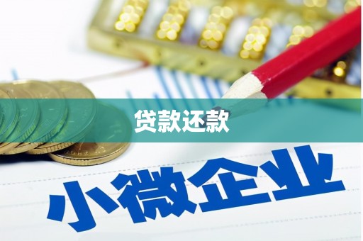 友谊贷款还款