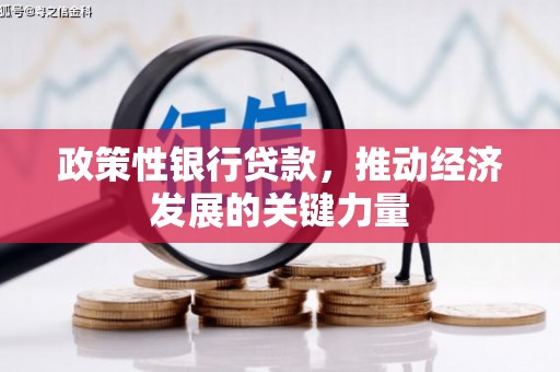友谊政策性银行贷款，推动经济发展的关键力量