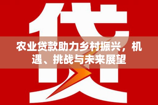 友谊农业贷款助力乡村振兴，机遇、挑战与未来展望