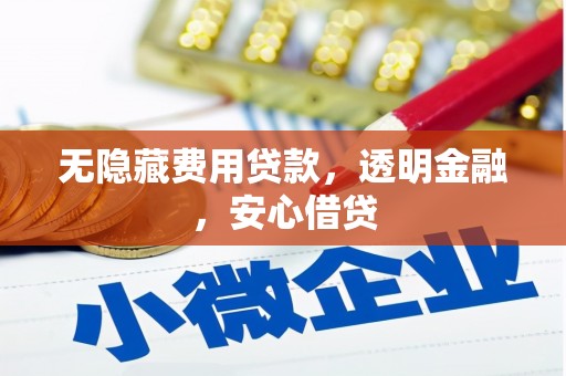 友谊无隐藏费用贷款，透明金融，安心借贷