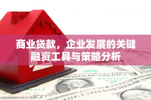 友谊商业贷款，企业发展的关键融资工具与策略分析