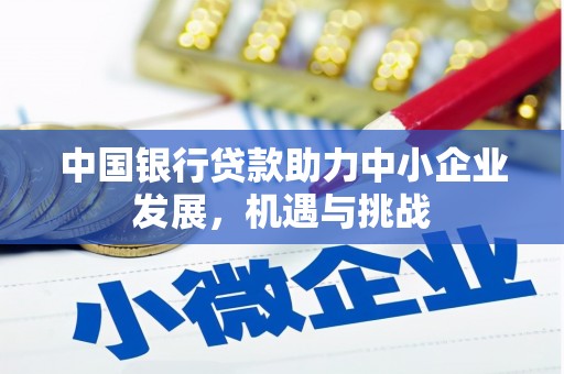 友谊中国银行贷款助力中小企业发展，机遇与挑战