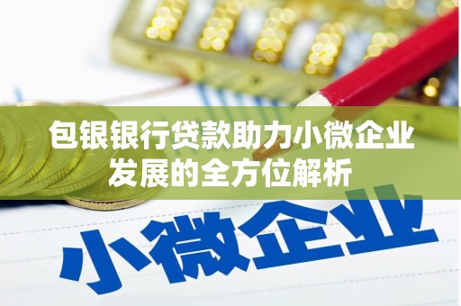 友谊包银银行贷款助力小微企业发展的全方位解析