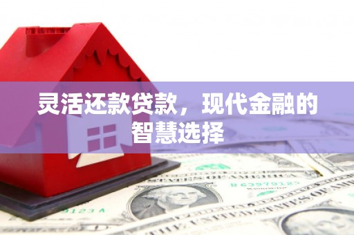 友谊灵活还款贷款，现代金融的智慧选择