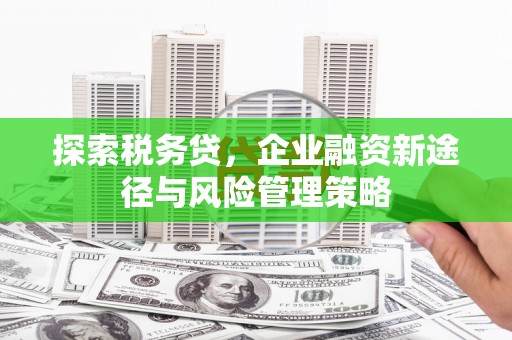 友谊探索税务贷，企业融资新途径与风险管理策略