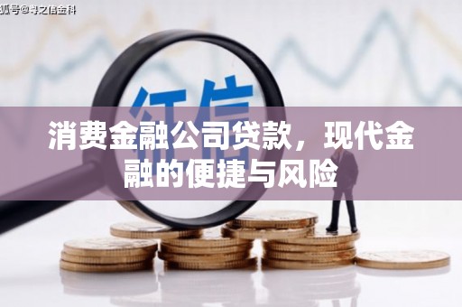 友谊消费金融公司贷款，现代金融的便捷与风险