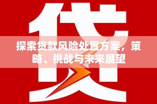 友谊探索贷款风险处置方案，策略、挑战与未来展望