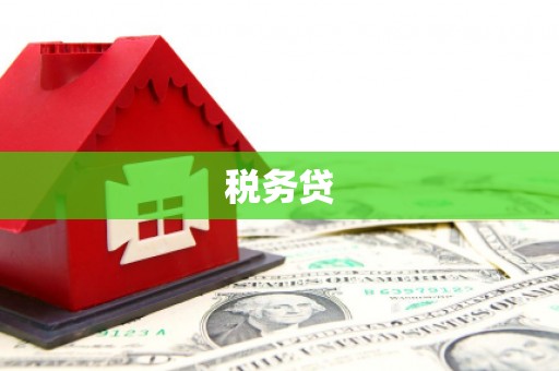 友谊税务贷