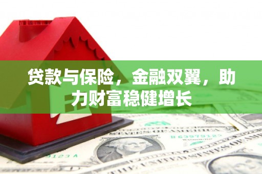 友谊贷款与保险，金融双翼，助力财富稳健增长