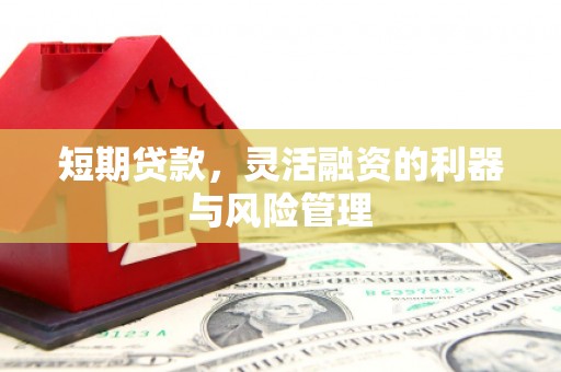 友谊短期贷款，灵活融资的利器与风险管理