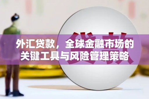 友谊外汇贷款，全球金融市场的关键工具与风险管理策略
