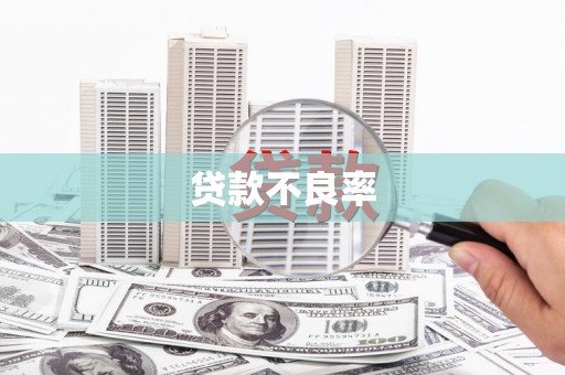 友谊贷款不良率