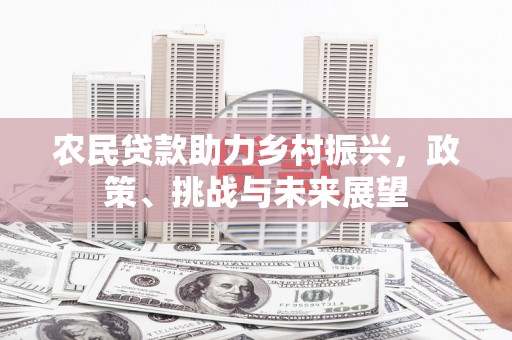 友谊农民贷款助力乡村振兴，政策、挑战与未来展望