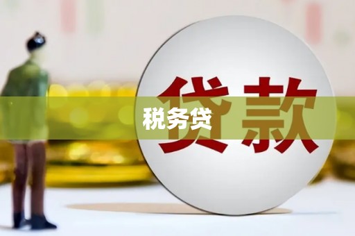 友谊税务贷