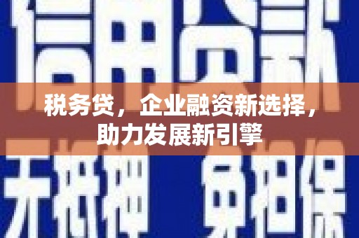 友谊税务贷，企业融资新选择，助力发展新引擎