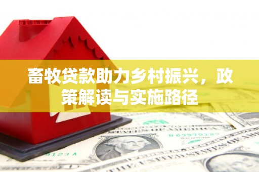 友谊畜牧贷款助力乡村振兴，政策解读与实施路径