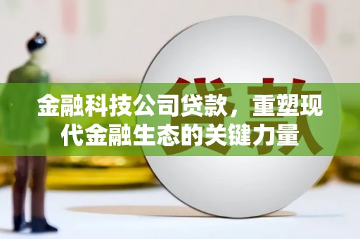 友谊金融科技公司贷款，重塑现代金融生态的关键力量