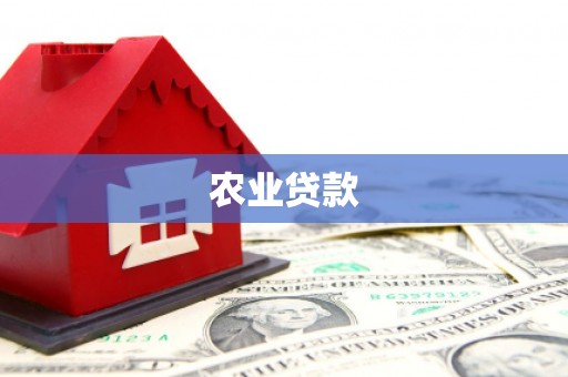 友谊农业贷款