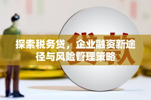 友谊探索税务贷，企业融资新途径与风险管理策略