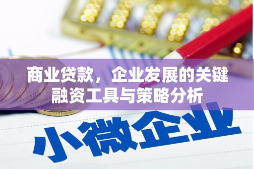 友谊商业贷款，企业发展的关键融资工具与策略分析
