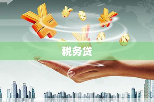 友谊税务贷