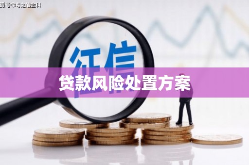 友谊贷款风险处置方案