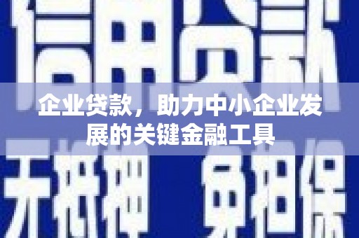 友谊企业贷款，助力中小企业发展的关键金融工具