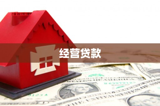友谊经营贷款