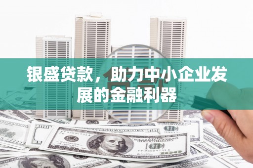 友谊银盛贷款，助力中小企业发展的金融利器