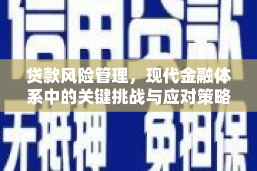 友谊贷款风险管理，现代金融体系中的关键挑战与应对策略