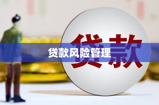 友谊贷款风险管理