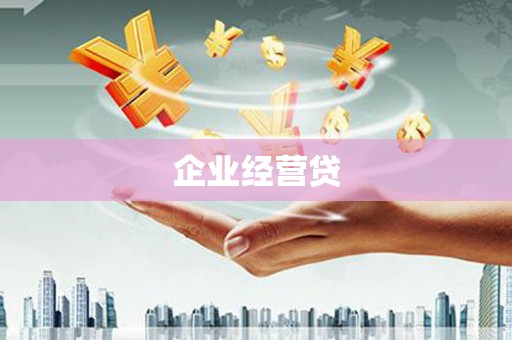 友谊企业经营贷